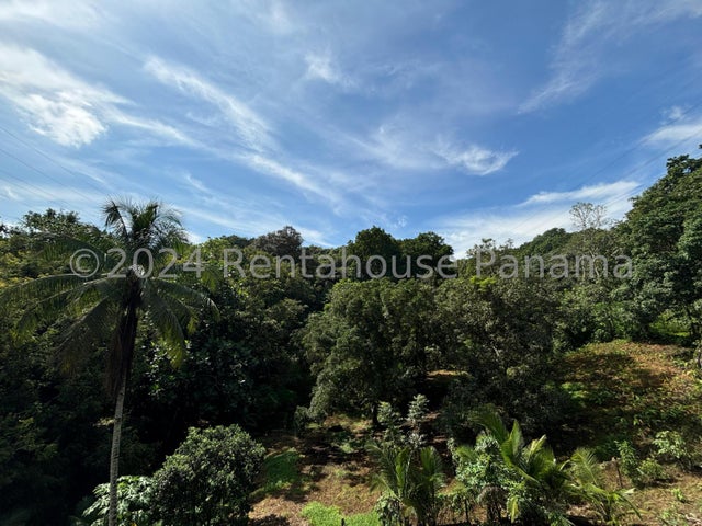 Exclusive Land for Rent